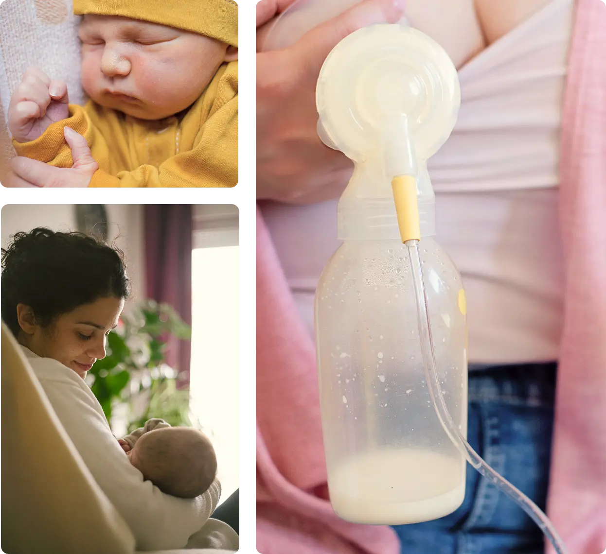 Uma paixão que nunca se apagou